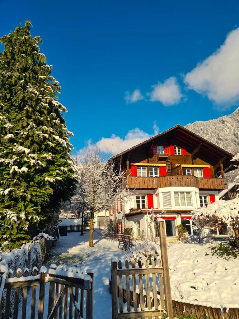 Adventure Guesthouse Interlaken photo 4