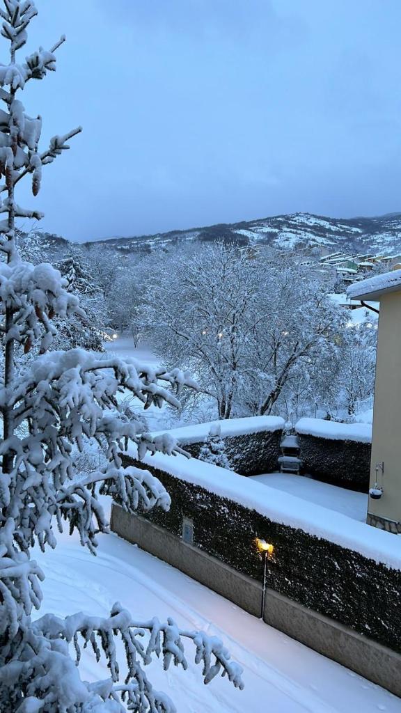 La Petite Maison photo 4
