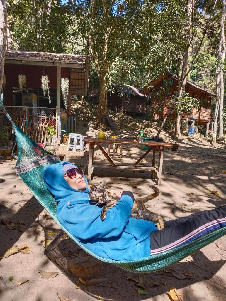 ชมไพรโฮมสเตย์ chomprai homestay