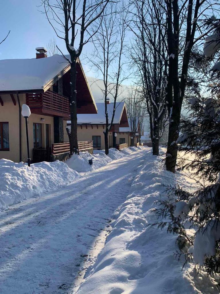 Полярис Polyaris photo 1