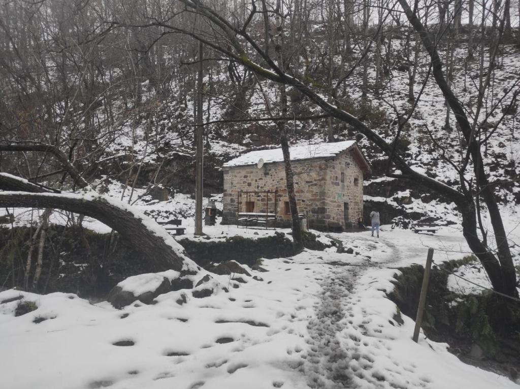 La Cabaña del Río photo 3