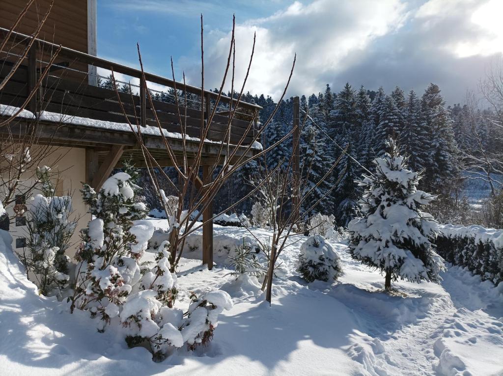 L'Eden de Floridylle photo 1