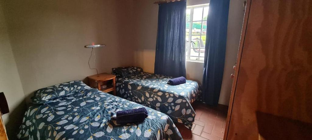 Aloe Inn Guest Farm photo 3