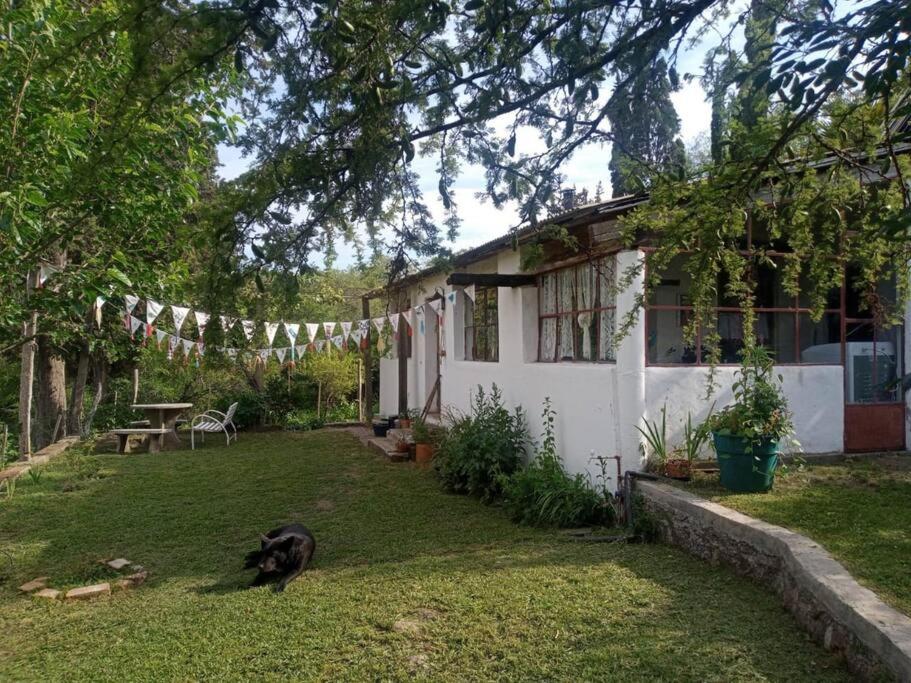 Finca El Pacará photo 2