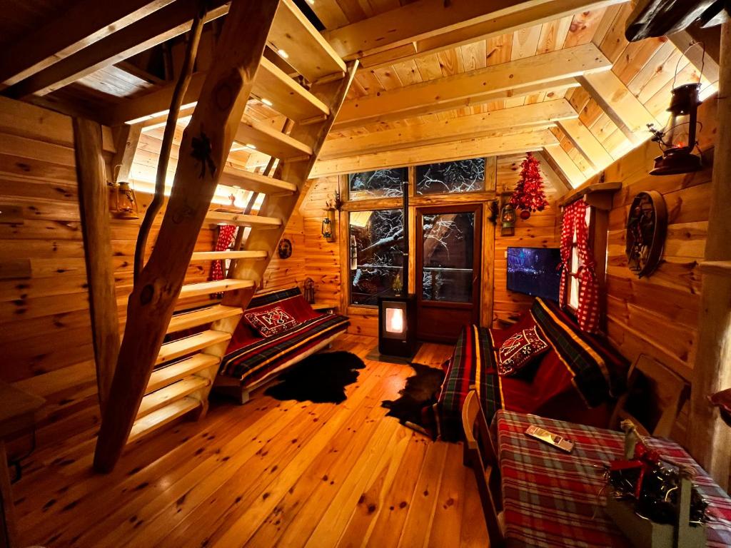 Tree house photo 4