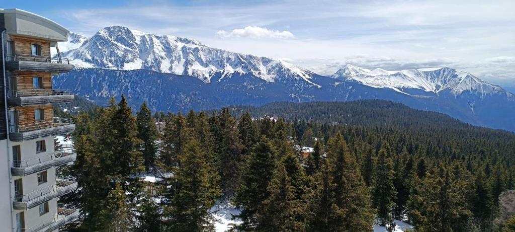 Appartement pieds des pistes, 6p, piscine ouverte pendant l'ouverture de la station, vue imprenable, Chamrousse photo 1