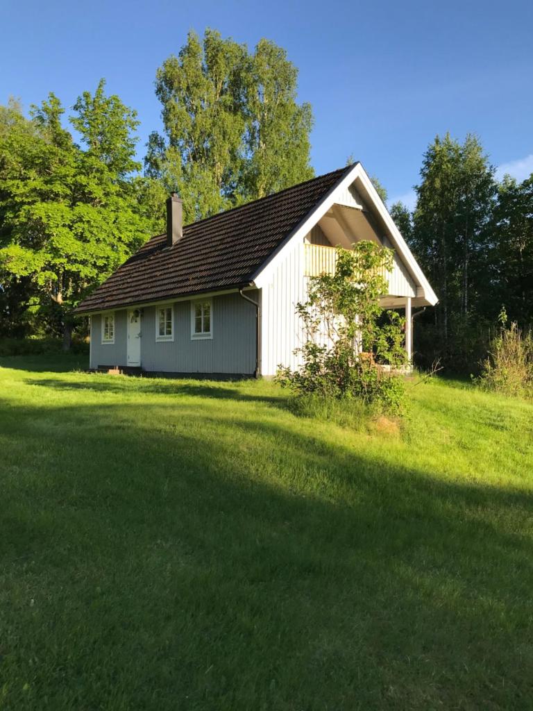 Lake and Forest Hideaway photo 3