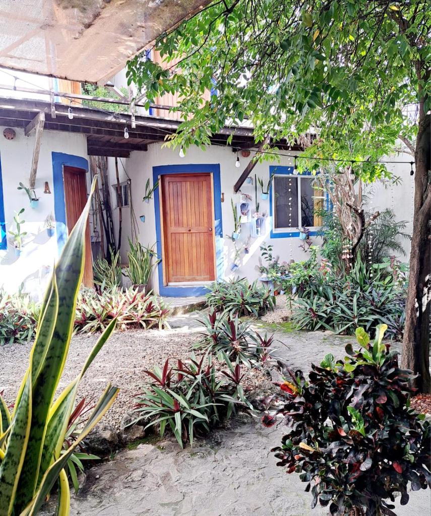 Hostal Jardin photo 3