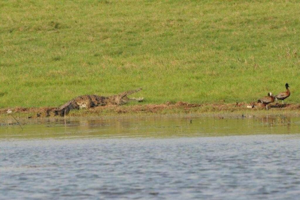 Bushwillow Lodge, Royal Jozini PGR, eSwatini photo 4