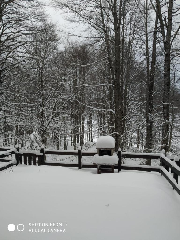 Casa nel bosco