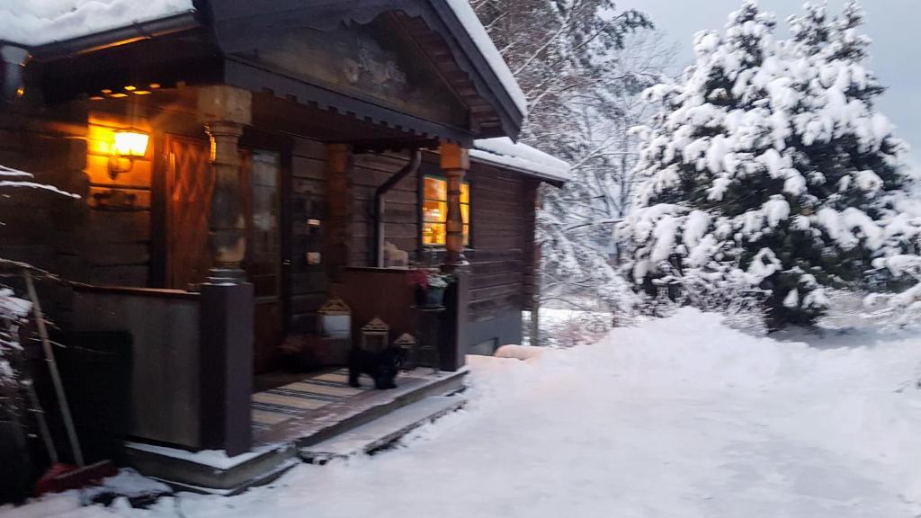 Villa Vy photo 3