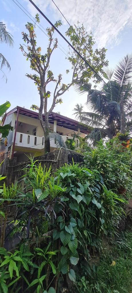 Wimala B&B photo 3