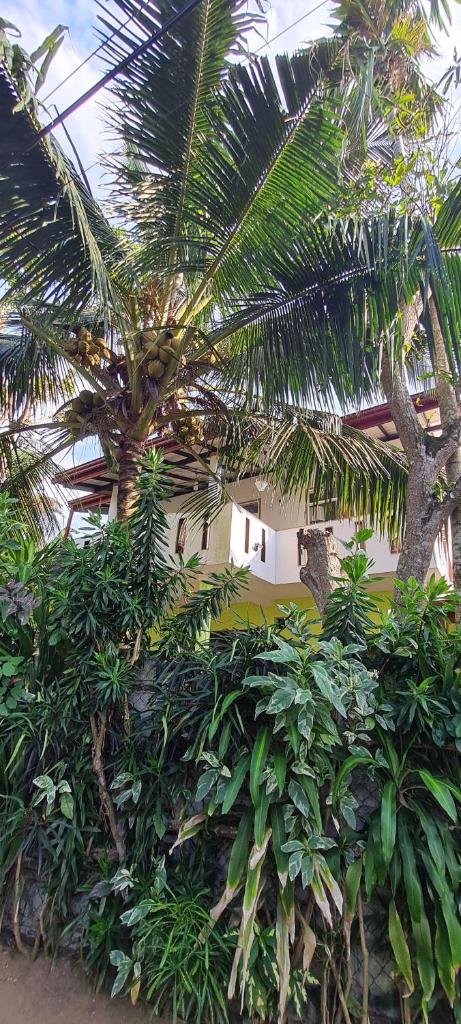 Wimala B&B photo 4