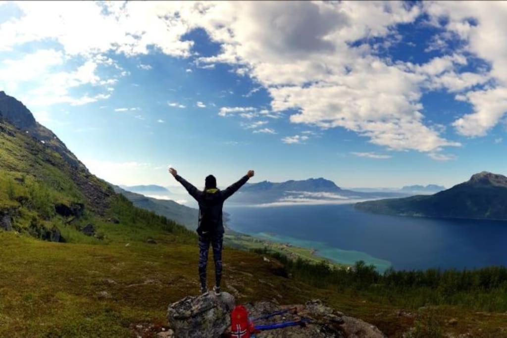 Norwegian Dream photo 1