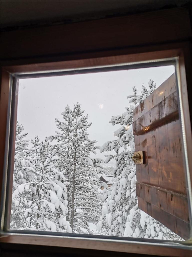MAJA - kuća za odmor, 150m od skijališta photo 1