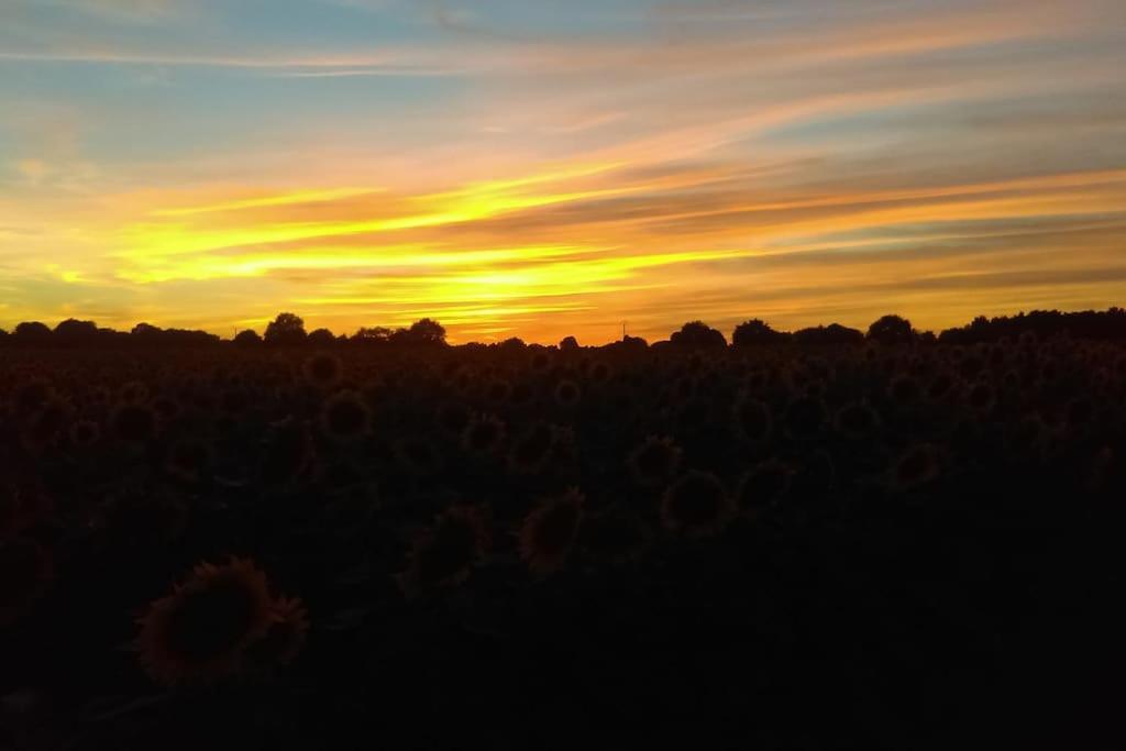 Calme et sérénité au gîte des hortensias photo 2