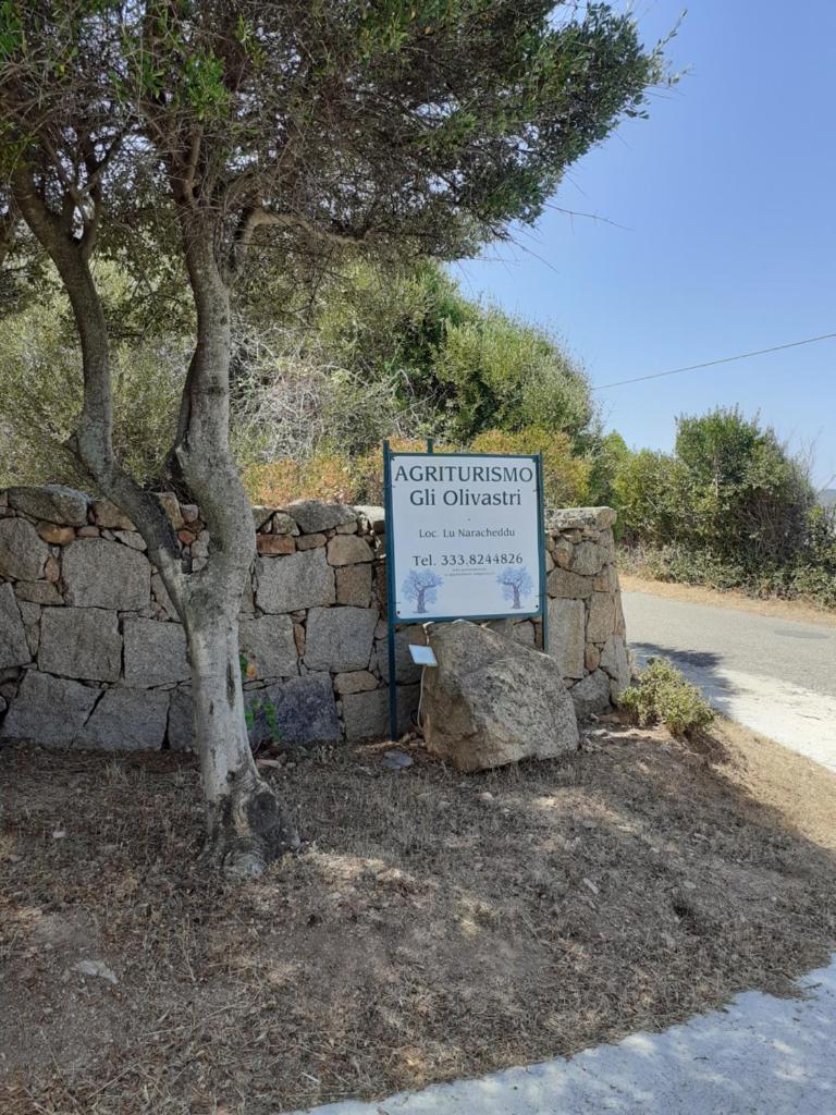 agriturismo gli olivastri, appartamento la rosa dei venti con piscina e solarium , splendida vista mare photo 2