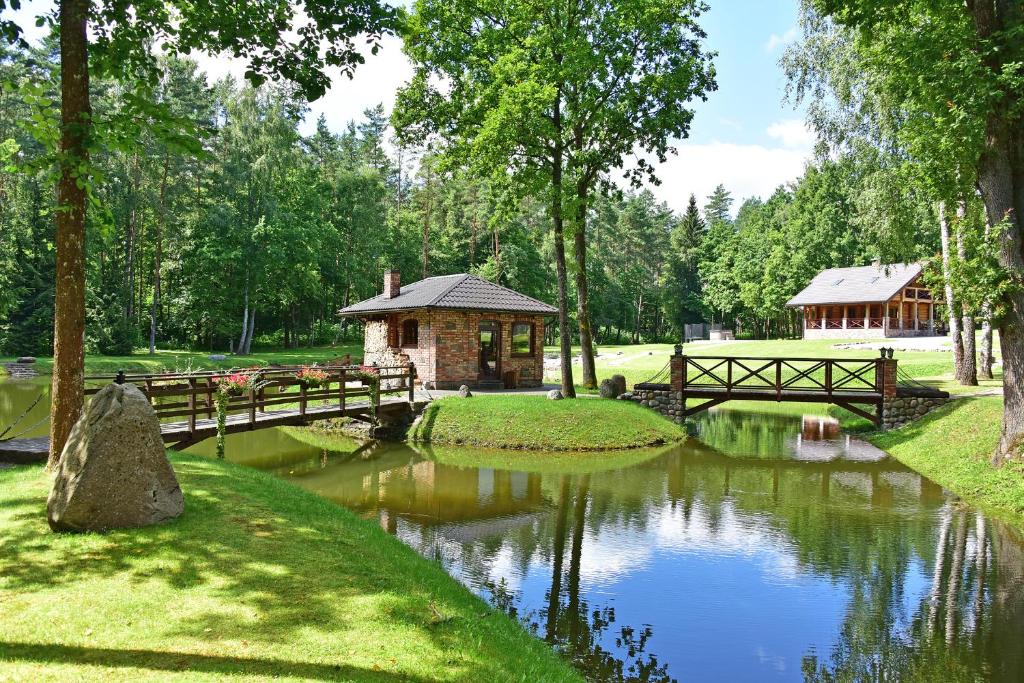 Auksinis Ąžuolas photo 4