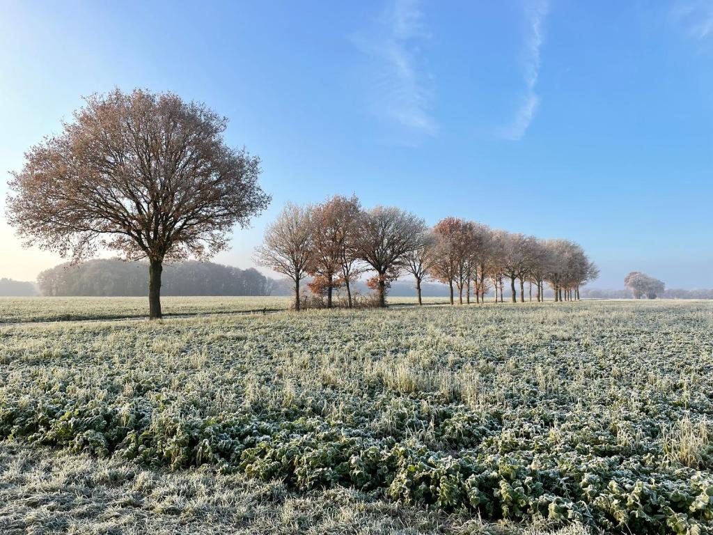 Wapen van Exloo photo 3