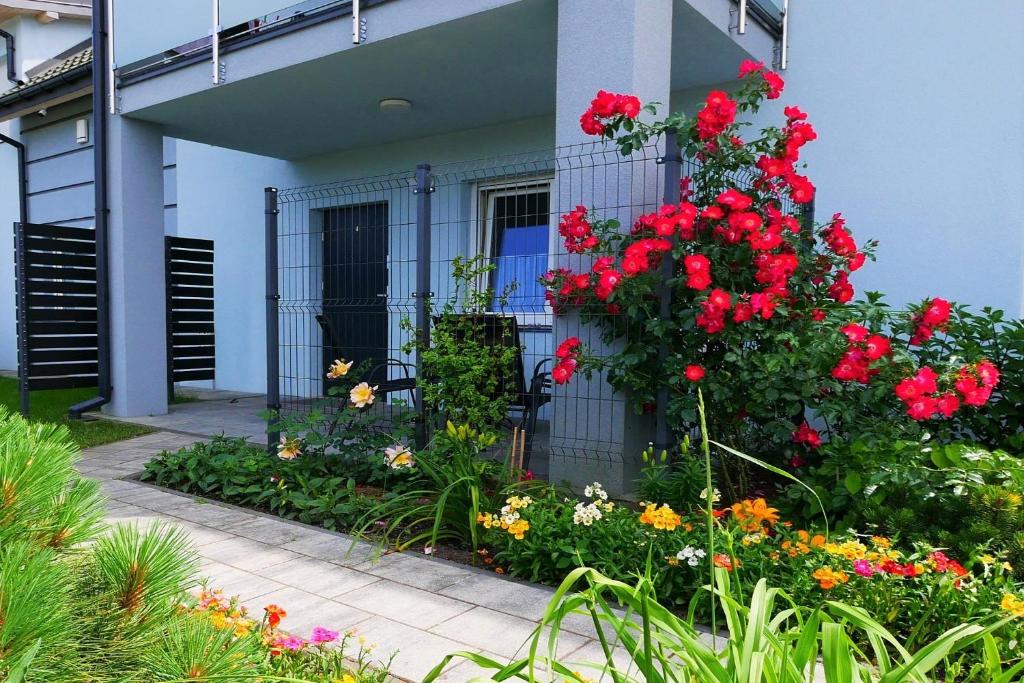 Szafir Apartamenty photo 1