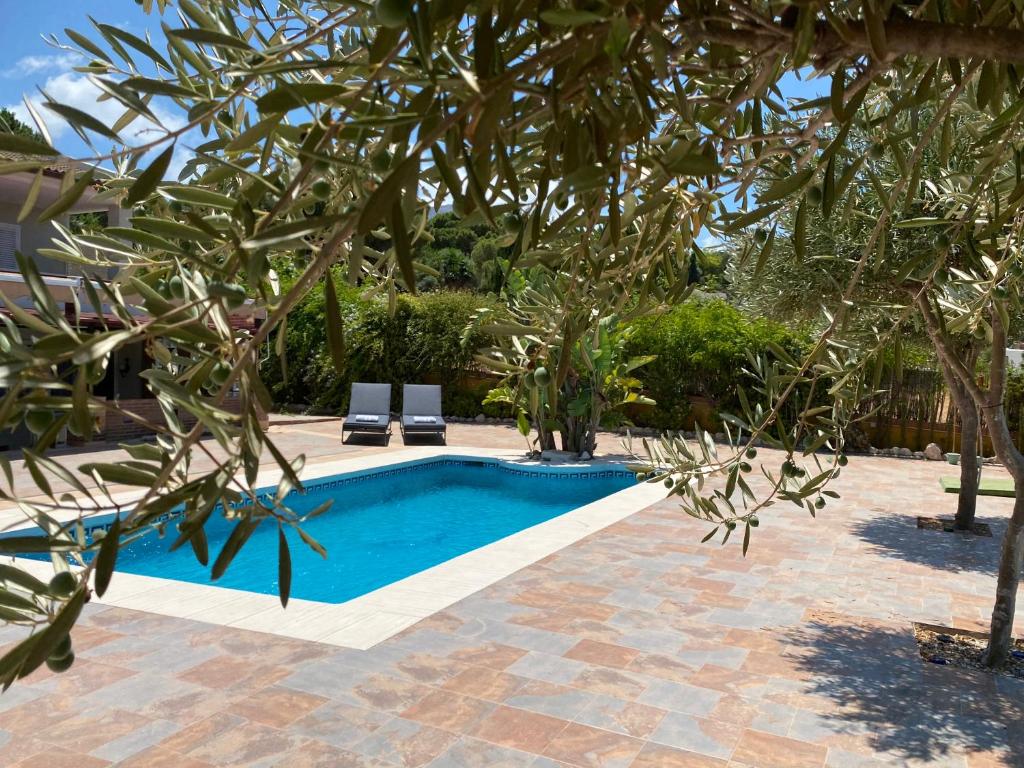 B&B Casa Oceo - Málaga - Andalusië photo 2