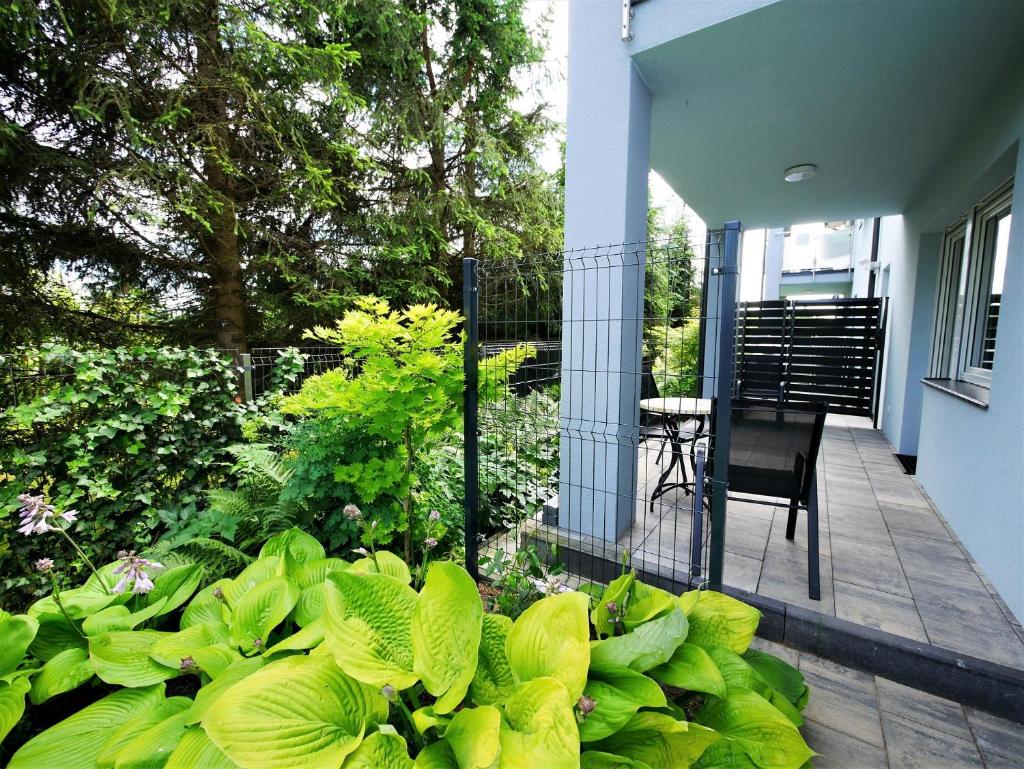 Szafir Apartamenty photo 4