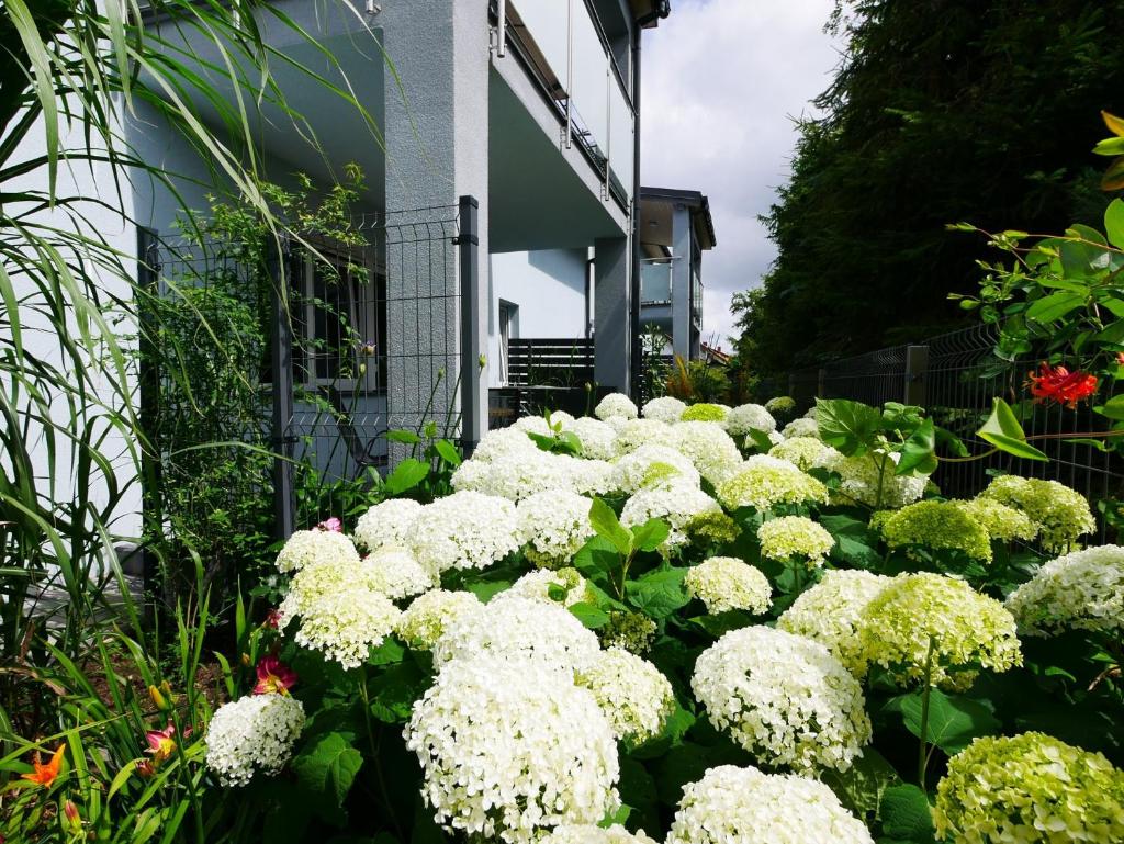 Szafir Apartamenty photo 3