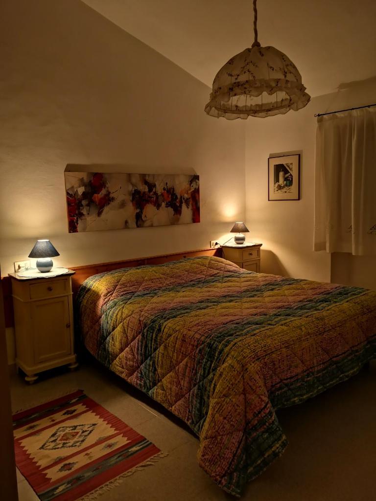 Il canto dell'asino photo 4