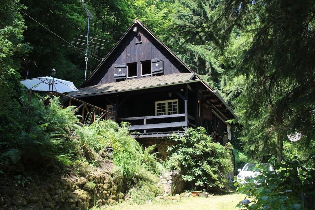 Black Forest House
