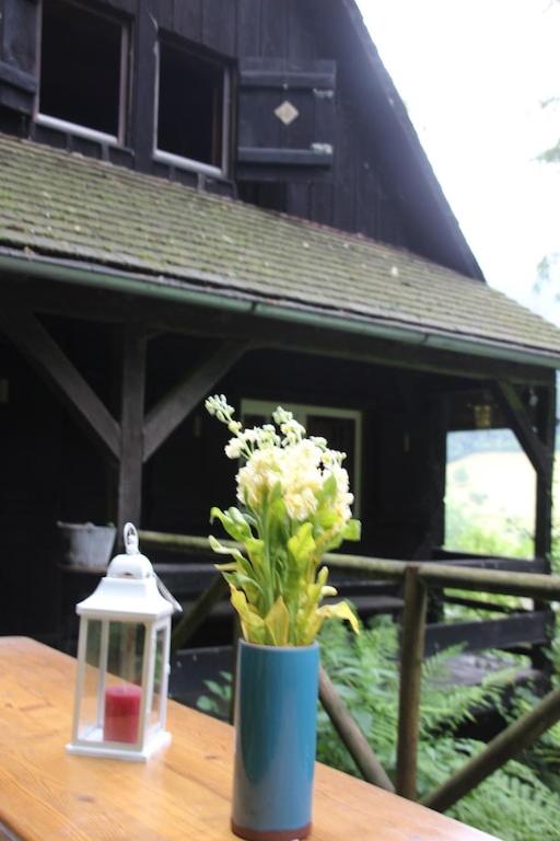Black Forest House photo 4