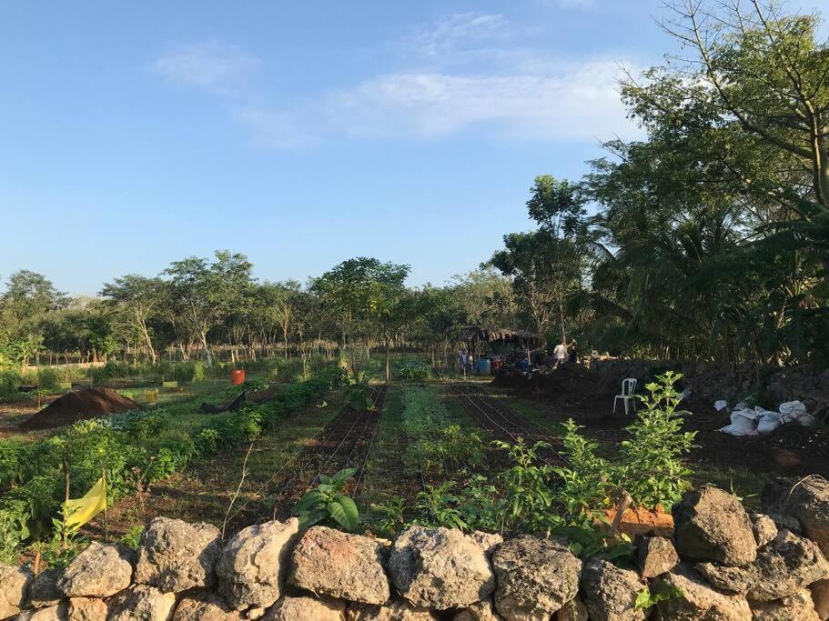 Private Restored Hacienda With Its Own Cenote photo 4