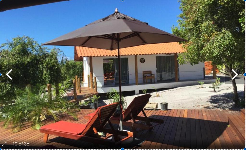 Morere Jungle Lodge photo 2