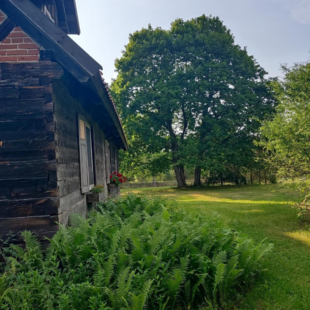 Leśne Apartamenty w Borach Tucholskich photo 3