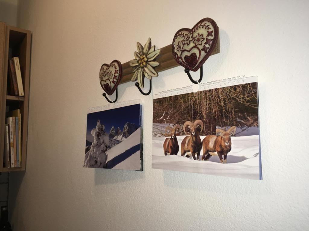 Marmolada Apartments photo 2