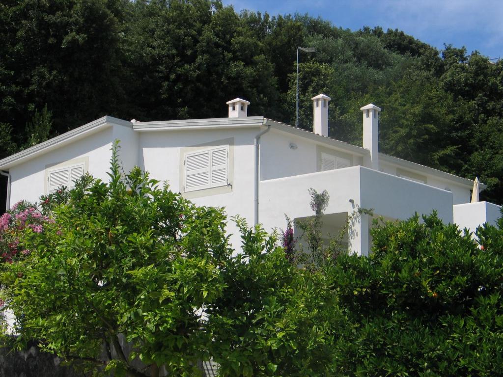 Villa Giulia - Apartment in Villa with sea view photo 1