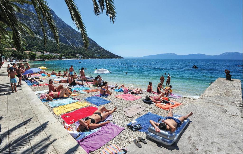 Nice Apartment In Gradac With 1 Bedrooms And Wifi photo 4