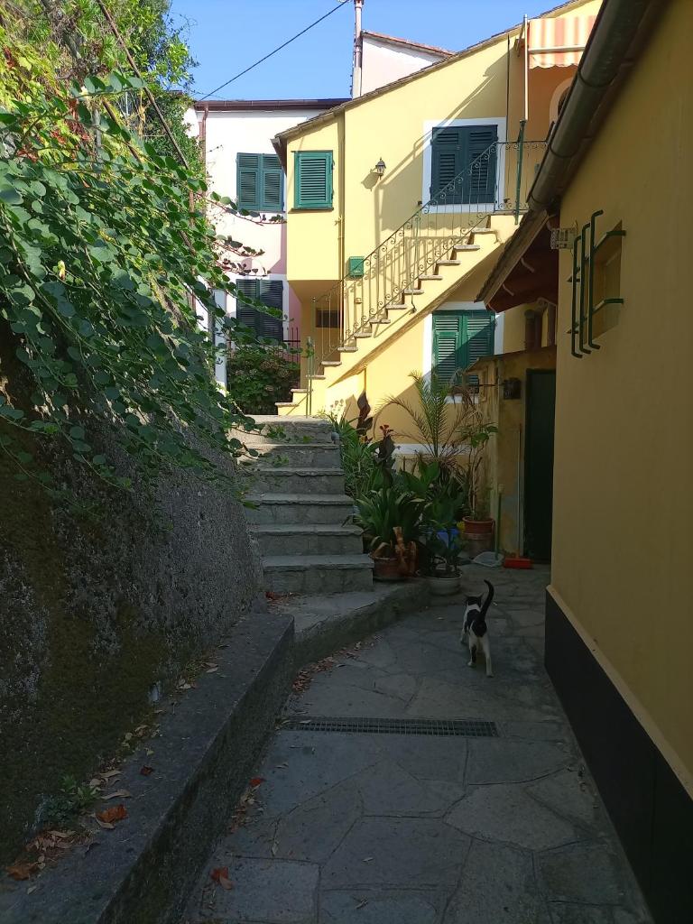 Soledad photo 3