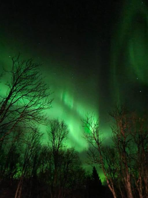 Tromsø stunning Luxury apart A photo 3