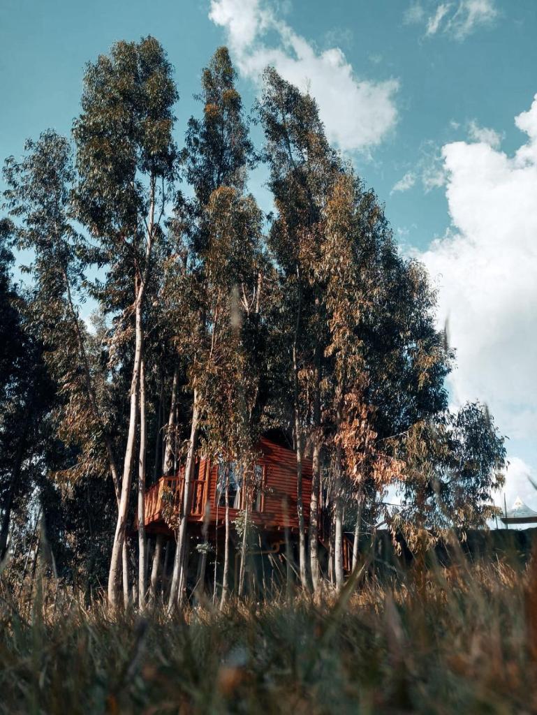 Casa en el Árbol Guatavita photo 1