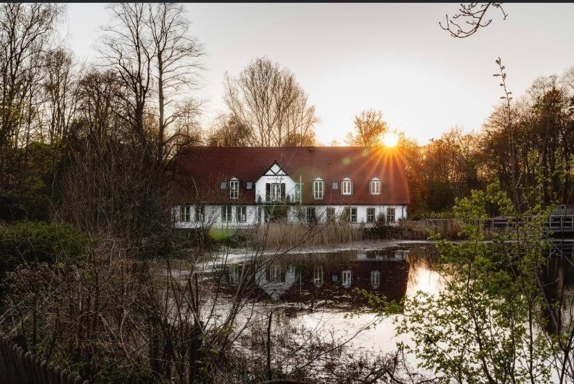Fürst Bismarck Mühle photo 4