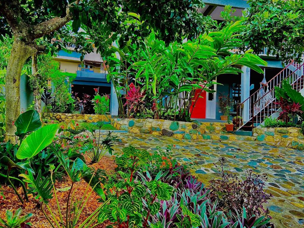 Casa Los Madriz Suite #2 photo 3