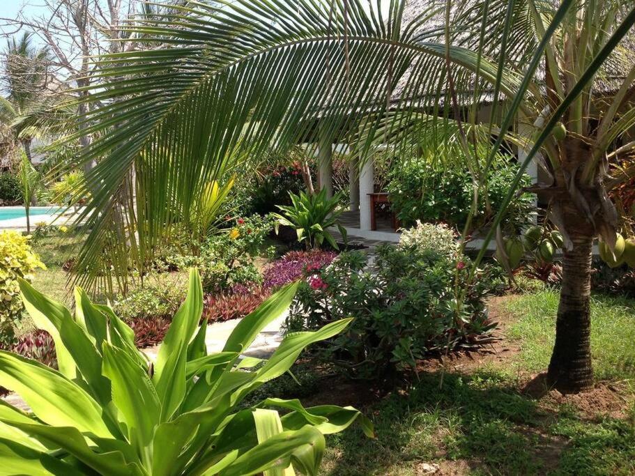 Luxury Simba House in Watamu [ ☆☆☆☆☆ ] photo 4