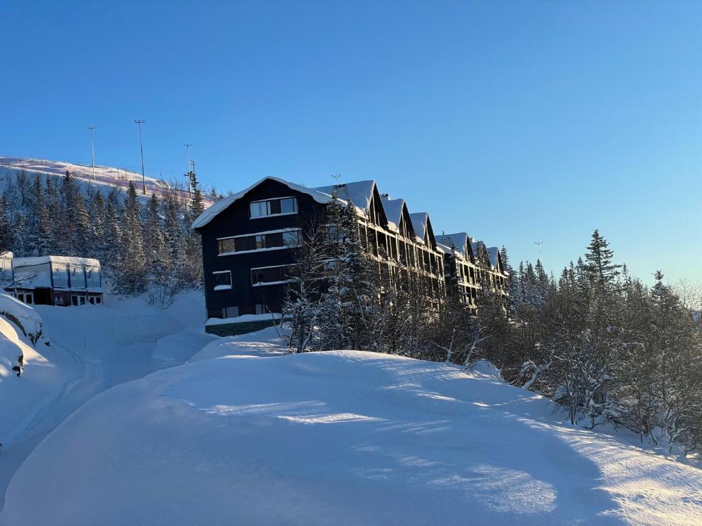 Astonishing Mountain Lodge at the top of Gaustablikk, 25m2 west facing terrace, 3 bedrooms photo 2