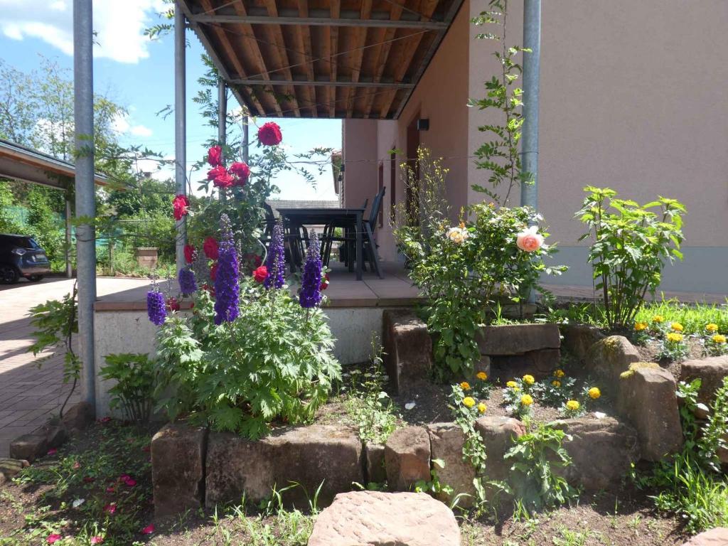 Apartments in Fischbach bei Dahn - Pfälzerwald 42914 photo 1