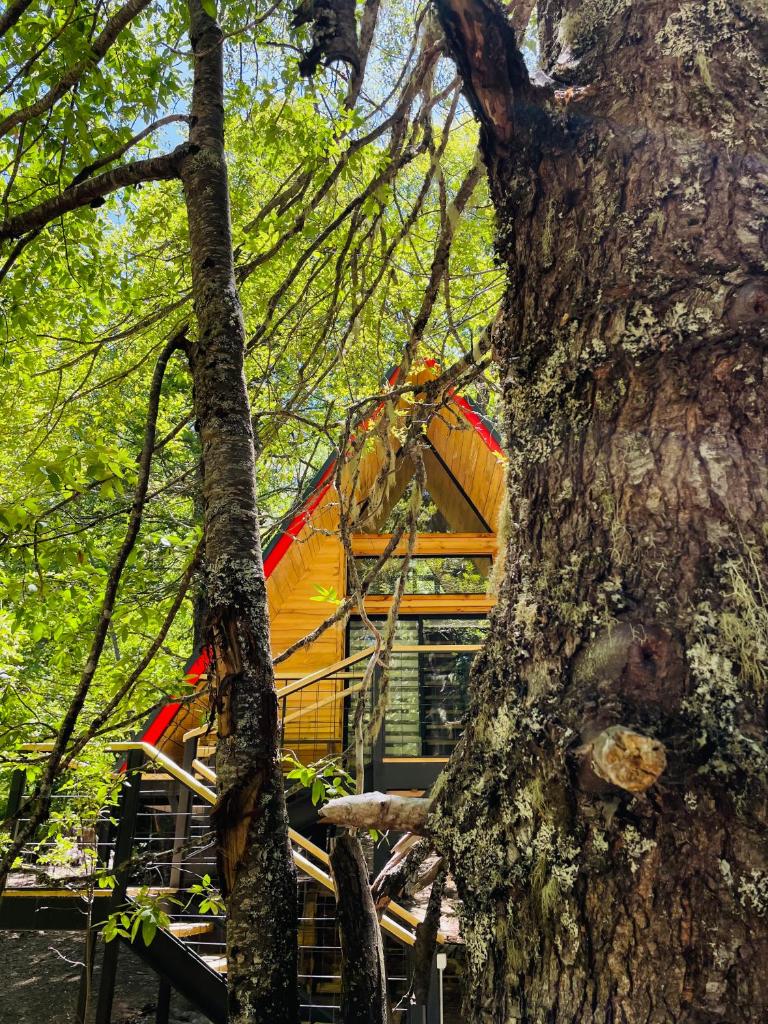 Casa del Árbol - Malalcahuello