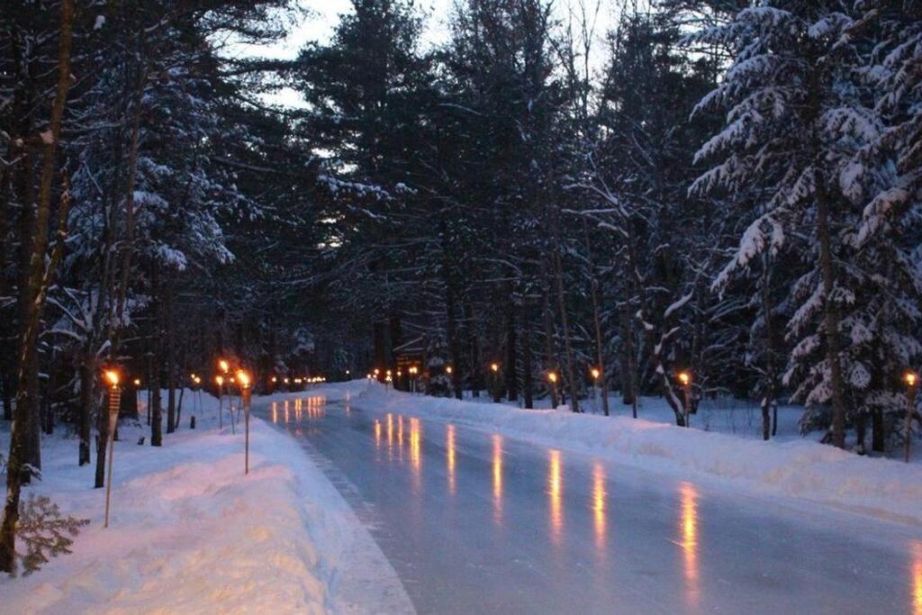 Muskoka Ski Chalet photo 1