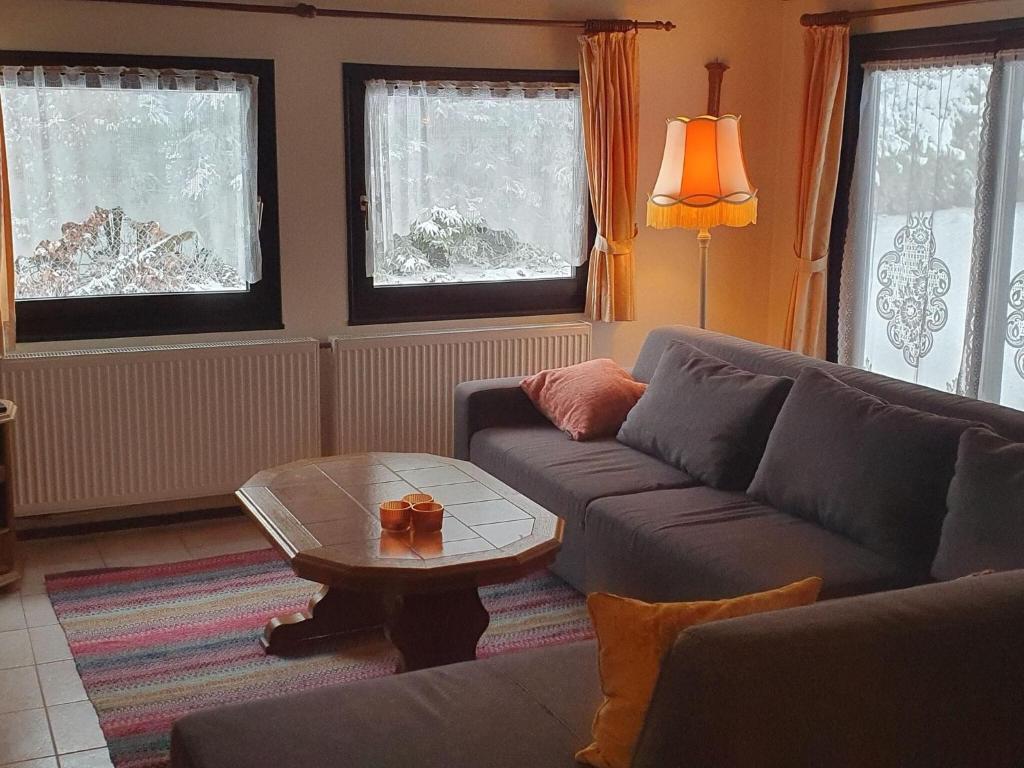 Holiday home in Willingen in beautiful hilly surroundings photo 3