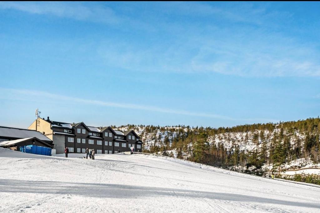 Topp Leilighet ski inn ski out Gautefall photo 4