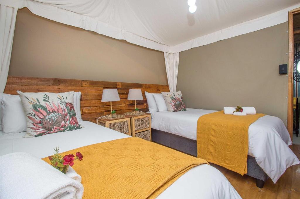 Idwala Le Ingwe Lodge photo 1