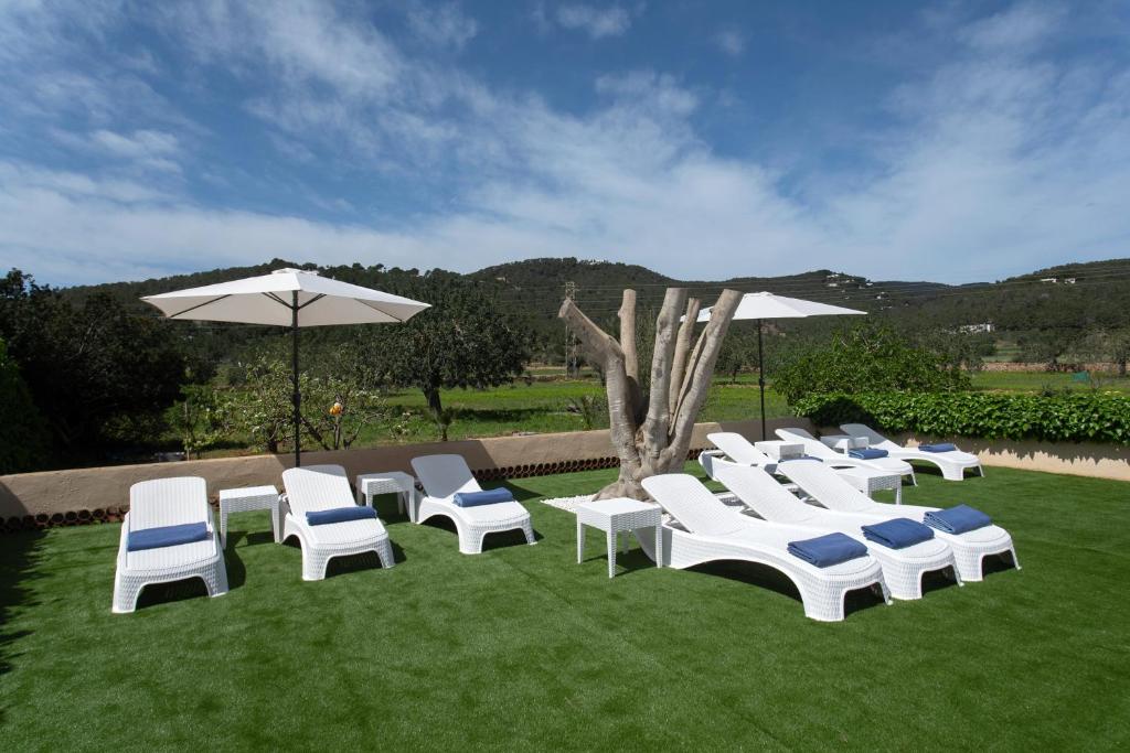 Villa Simona Ibiza photo 4